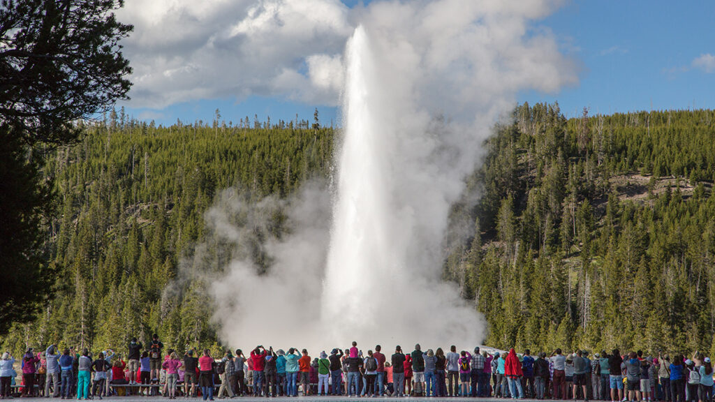 Tourists watch Old Faithful erupt.