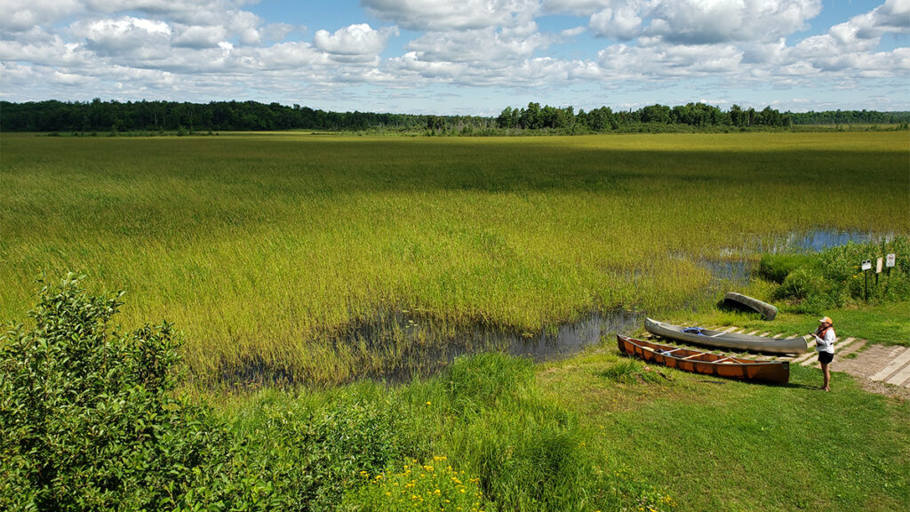 To the right of a vast wetland, with tall reeds of wild rice covering the ground, sit three canoes, and a person stands and looks across the landscape.