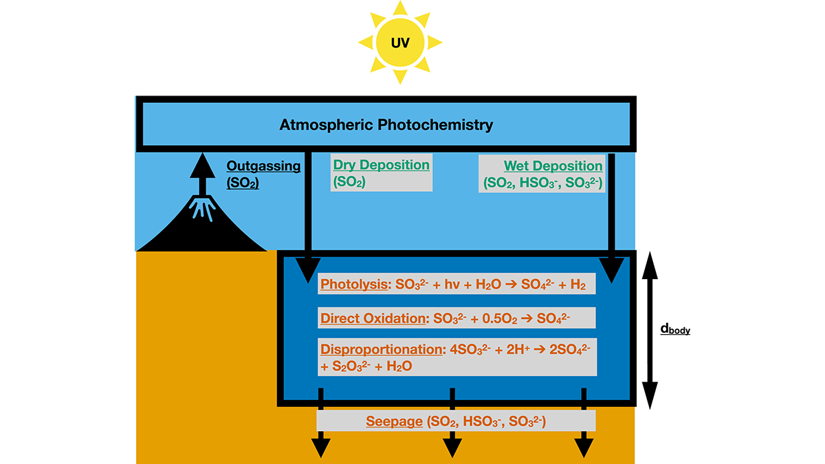 Schematic illustrating the model applied in this study.
