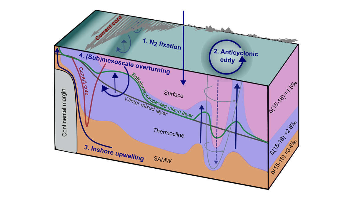 Schematic diagram from the study.