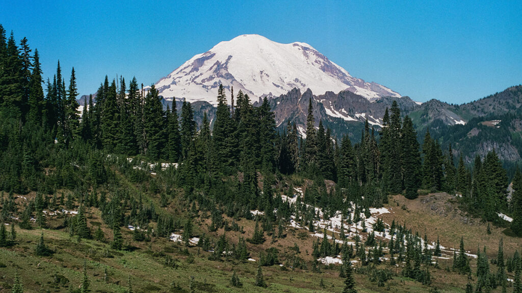 Tall green trees dot a hillside, and a snow-covered mountain appears in the background.