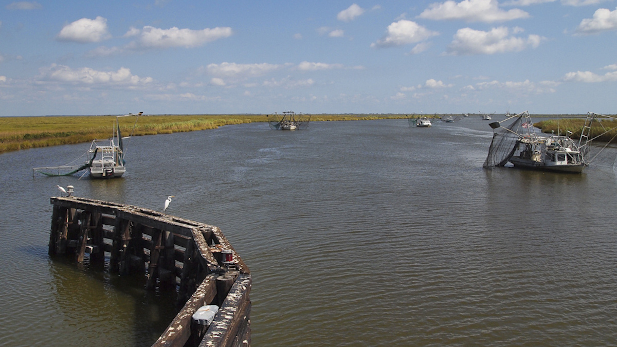 Fishing boats drive through a channel near Dulac, Lousiana.