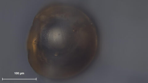 A glass sphere seen through a magnifying lens.