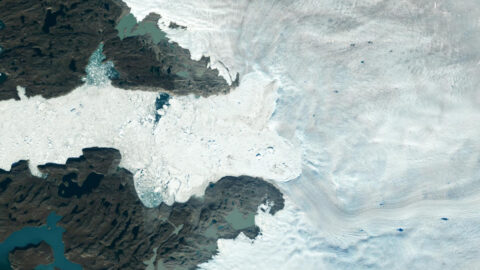 An aerial photograph of a glacier that terminates at the sea.