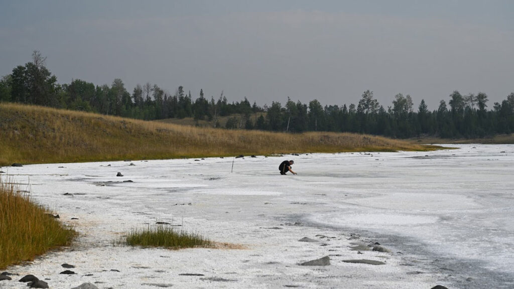 A person crouches with an outstretched arm atop a dried lake bed coated with white salt.