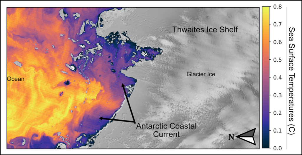A satellite image of part of the Antarctic coastline shows land in gray and sea surface temperature data superimposed on the ocean surface in cool to warm colors.