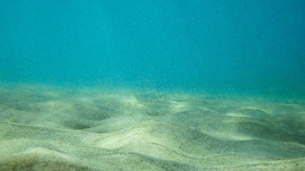 A bed of sand underwater.