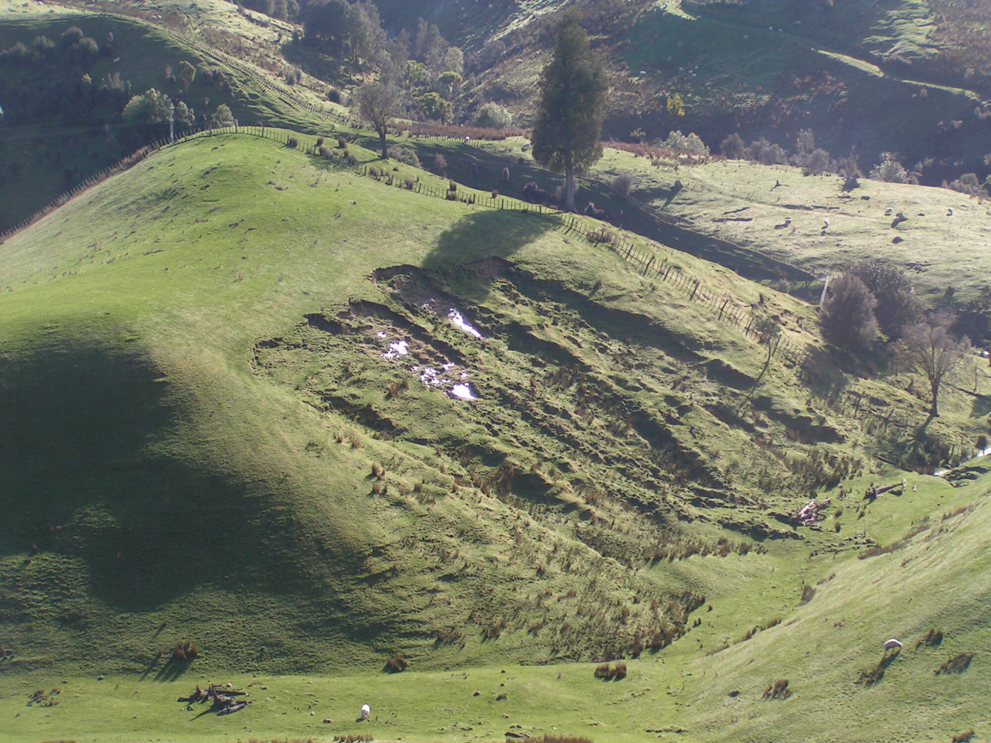 Shallow landslides in New Zealand