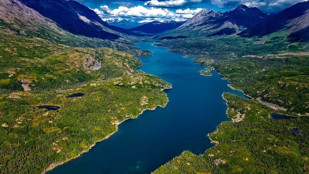 A river cuts through a valley in Alaska in summer.
