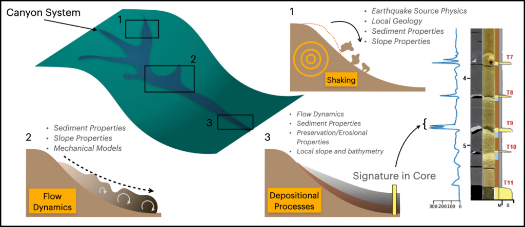 Infographic describing how underwater sediment flows cascade downslope and eventually form turbidite beds