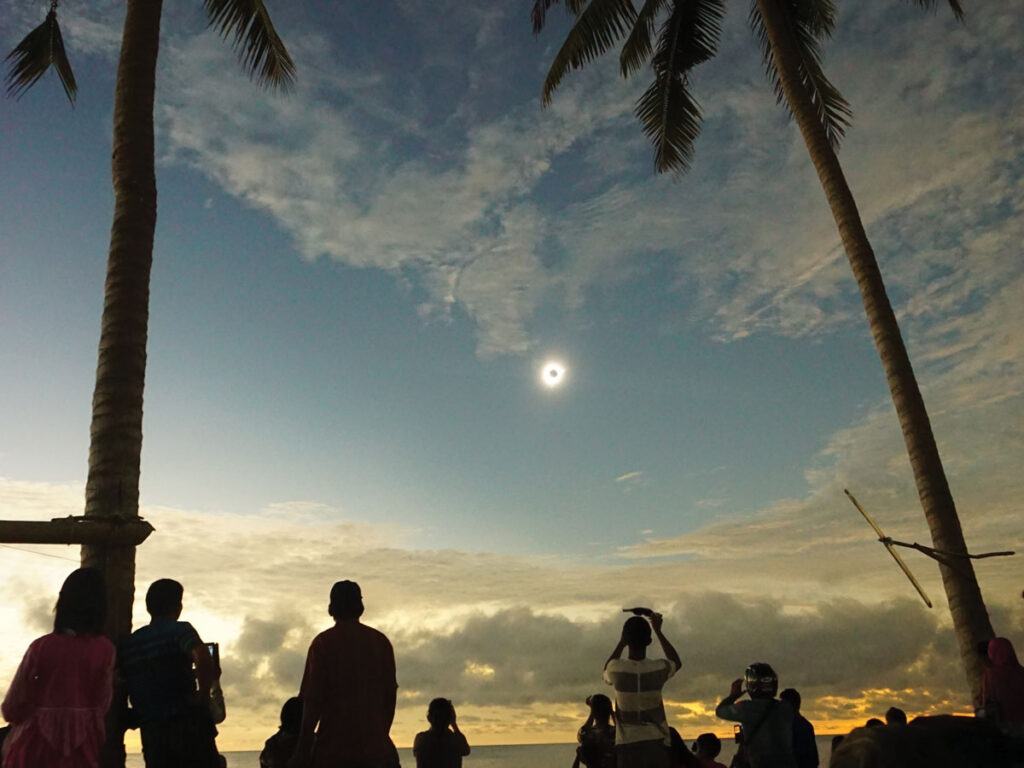 People gathered under a palm tree watching a solar eclipse.