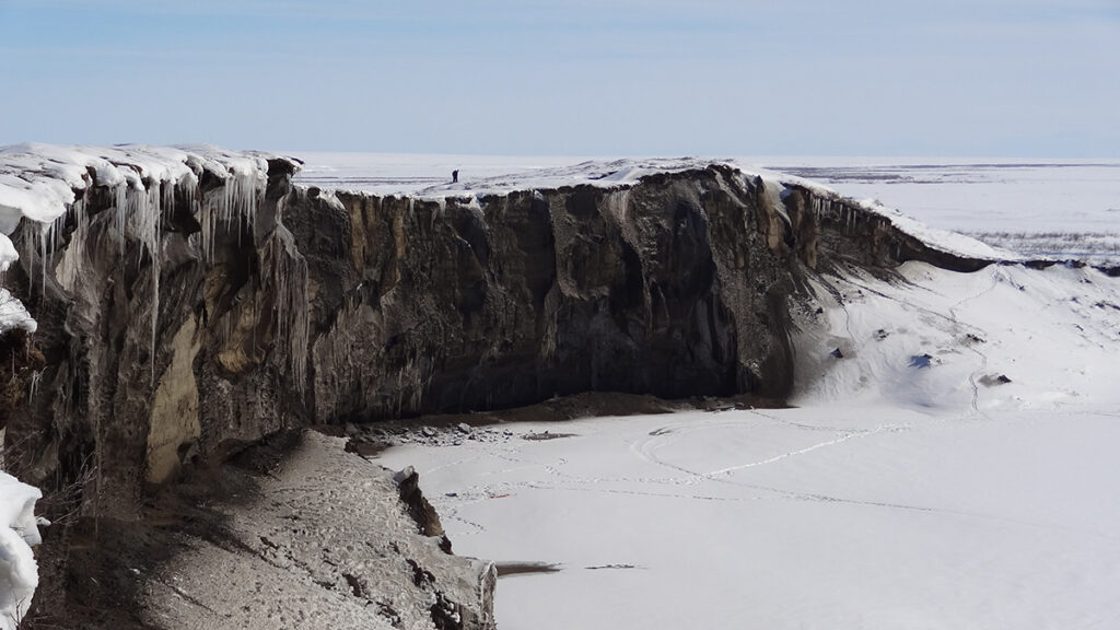 Exposed permafrost sediments and ice wedges in spring at a bluff near the Itkillik River,