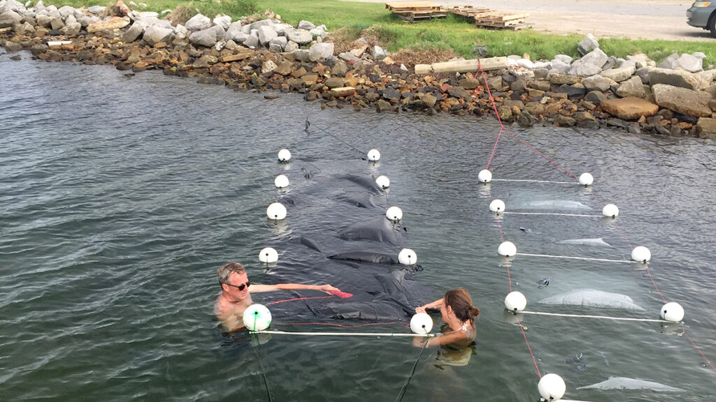 Philippe Lebaron and Sabine Matallana-Surget position their experiments near Pensacola Beach, Fla.