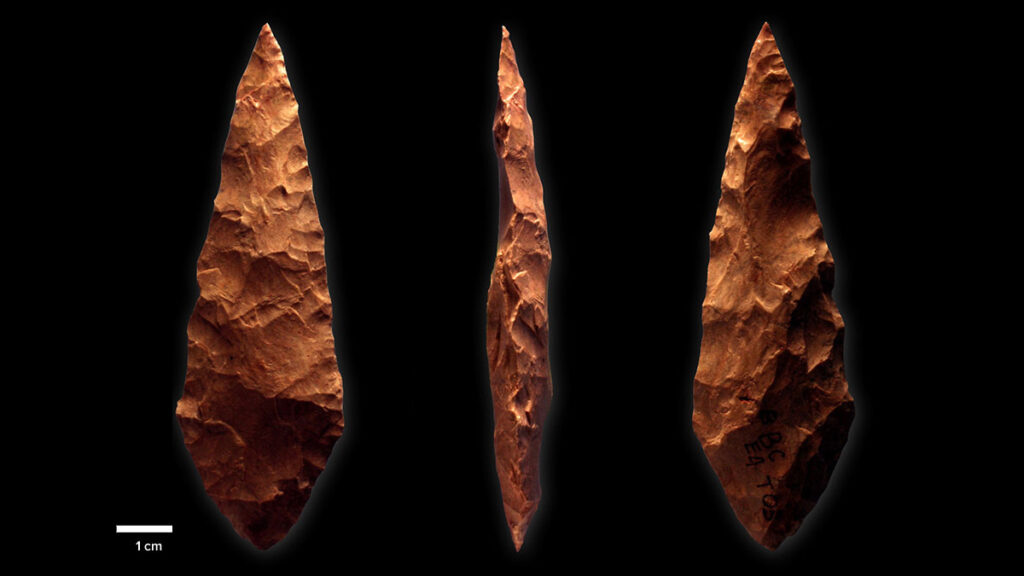 Three views of a stone point made during the Middle Stone Age