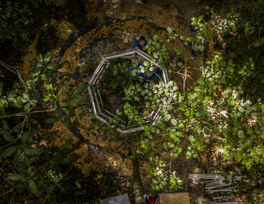 An open-top chamber seen from above in the Amazon forest