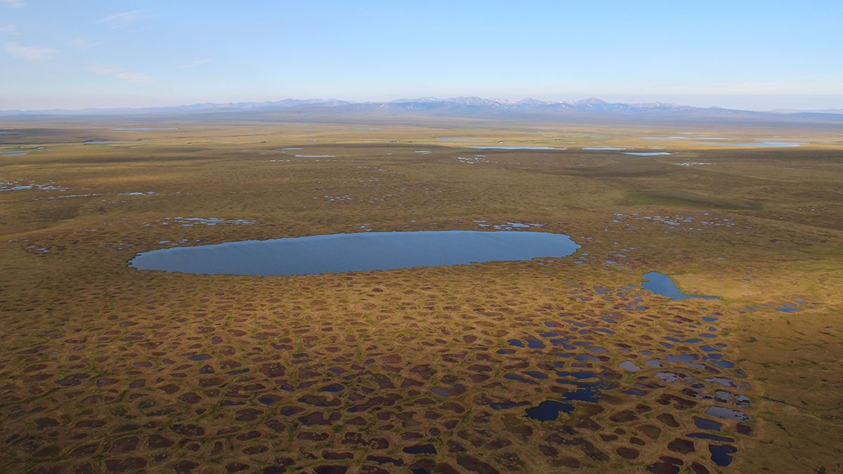 Permafrost underlies about 14 million square kilometers of land in and around the Arctic. The top 3 meters contain an estimated 1 trillion metric tons