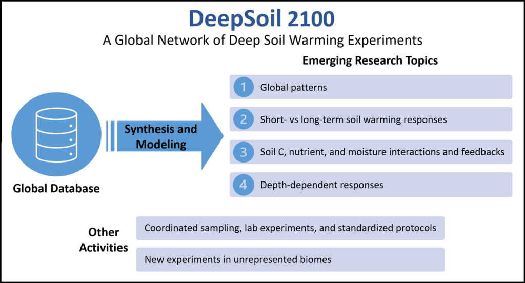 Diagram illustrating the framework of how the global DeepSoil 2100 network’s global database will support research activities
