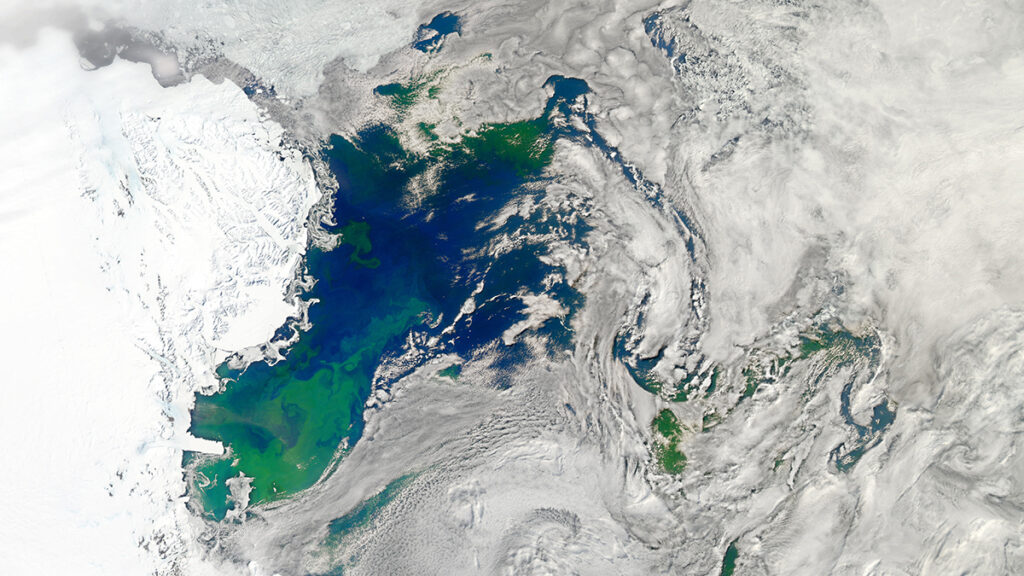 Satellite image of a polynya (area without ice) in Antarctica. Most of the image is white snow or ice, but the polynya area is blue and green.