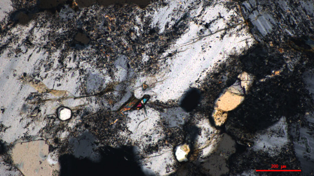 A piece of rock under a microscope. Colors are mostly gray and beige, with a small section of blue near the center. A legend on the bottom right indicates the image is about 100 micrometers across.