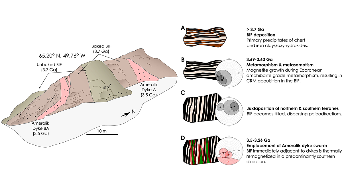 Diagrams from the study