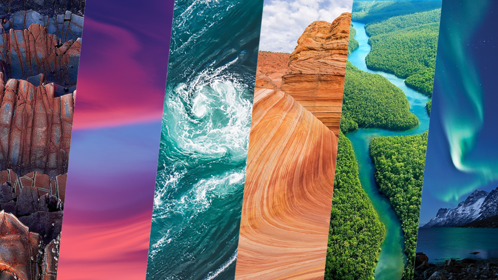 A collage of different nature images.