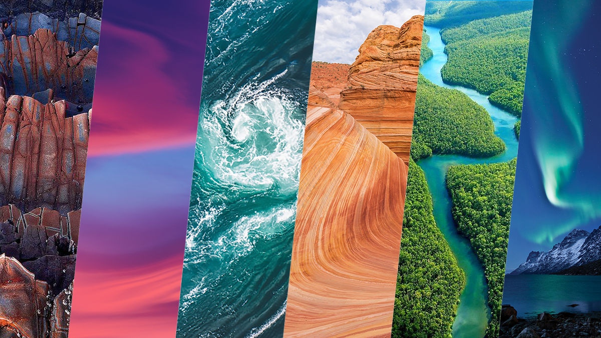 A collage of different nature images.