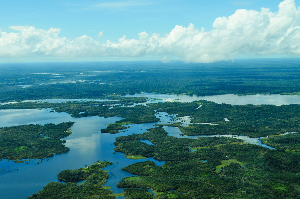 Aerial view of the Amazon rainforest with many channels of water