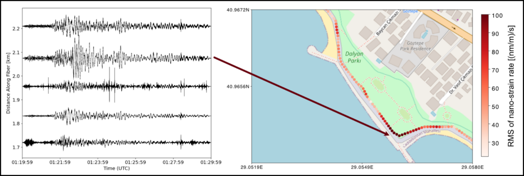 Seismic wave amplitudes (left) and strain rate time series (right) recorded along a stretch of coastline in Istanbul, Türkiye, in February 2023