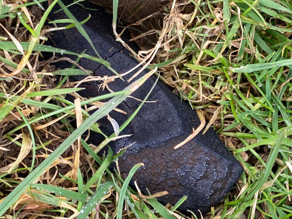 A smooth but cracked gray rock, part of a meteorite, sits inside a patch of wet grass.