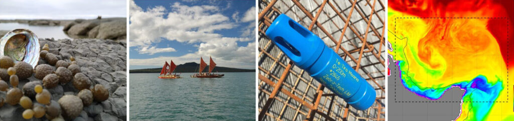 Series of four images showing (left to right) a pāua shell and seaweed, traditional Māori sailing vessels called waka, the Mangōpare ocean temperature sensor developed in the project, and modeled ocean temperatures in the Bay of Plenty.