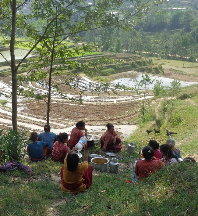 A group of people sit on a forested hillside having lunch, with terraced, muddy rice fields down the slope beyond them.
