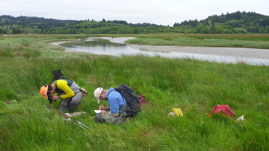 Two men wearing backpacks sit in a grass field in front of an estuary. One man is taking a photo of something on the ground, and the other is writing in a notebook.