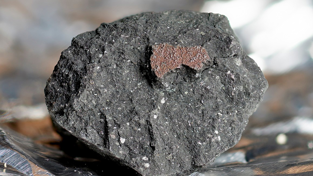 A grayish rock with white spots and a brighter brown patch sits on a reflective surface.