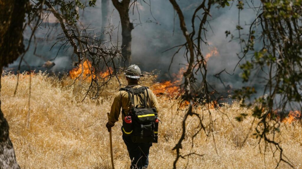 A firefighter walks toward a fire in a field.