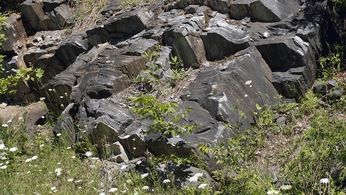 Gray rocks among green grasses and flowers
