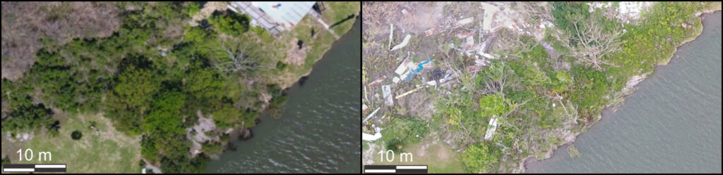At left, an aerial view of mangroves in Port Fourchon, La., in March 2018, before Hurricanes Zeta and Ida; at right, the same locations in November 2021, after the hurricanes. The plants look mangled, with some missing branches or appearing to have fallen down.