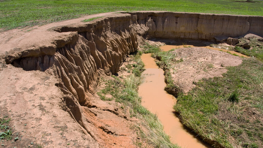 Soil eroding from a field as a result of rainfall