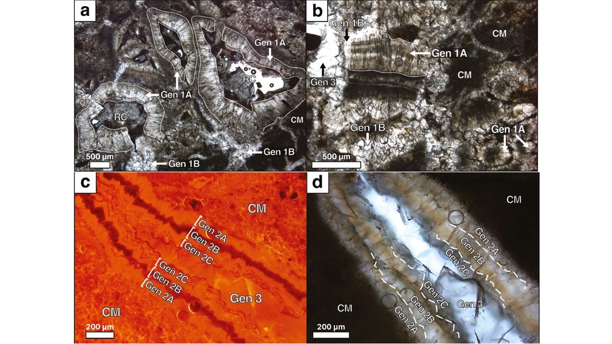 Photomicrographs of minerals.