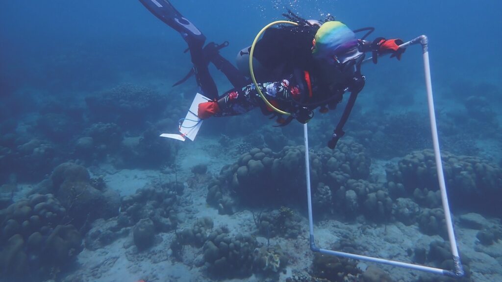 Aliyah Griffith: Ocean Scientist, Explorer, Mermaid