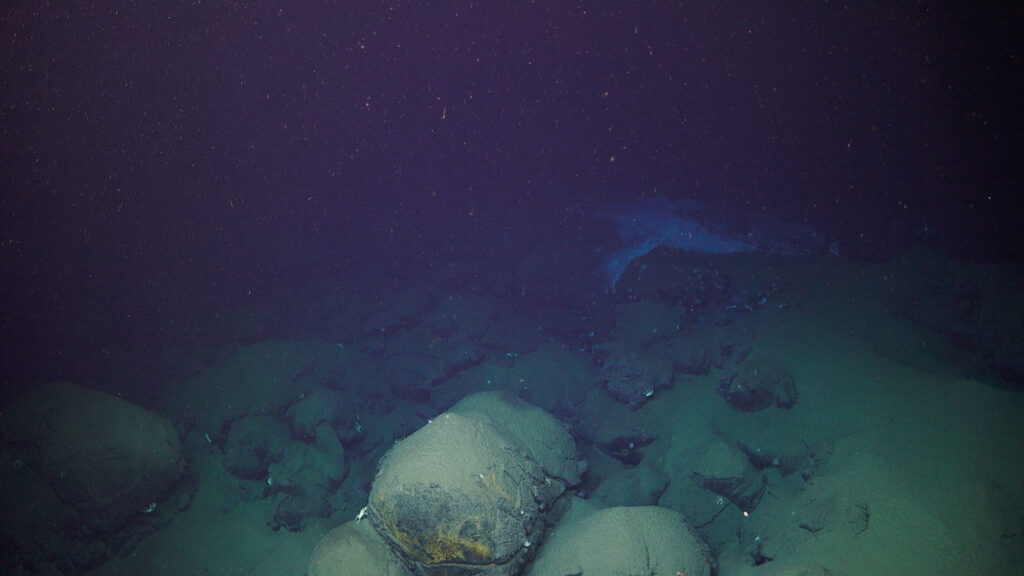 A screenshot of a video taken from a deep-sea remotely operated vehicle shows white ash settled on the seafloor near the Hunga eruption in Tongan waters.