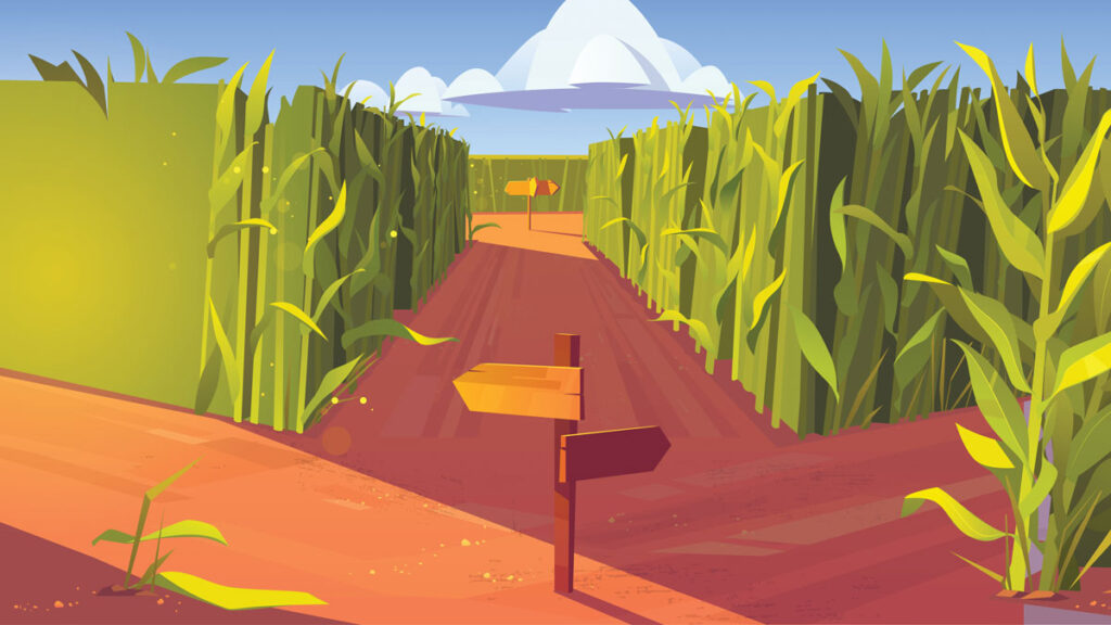 Cornfield with wooden road pointers