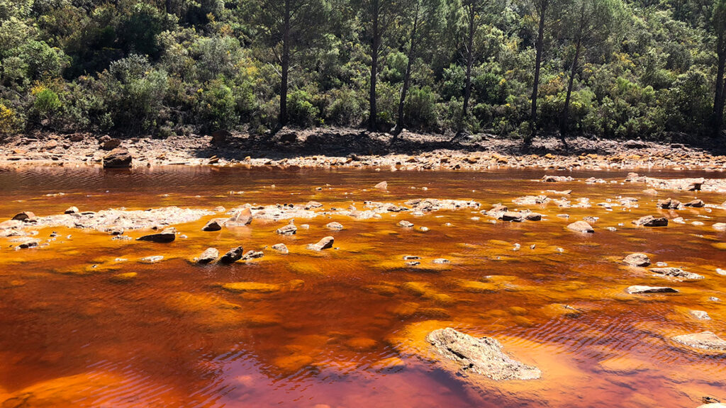 Red-tinted water flows in a shallow stretch of river, with a rocky shoreline and forested hillslope in the background.
