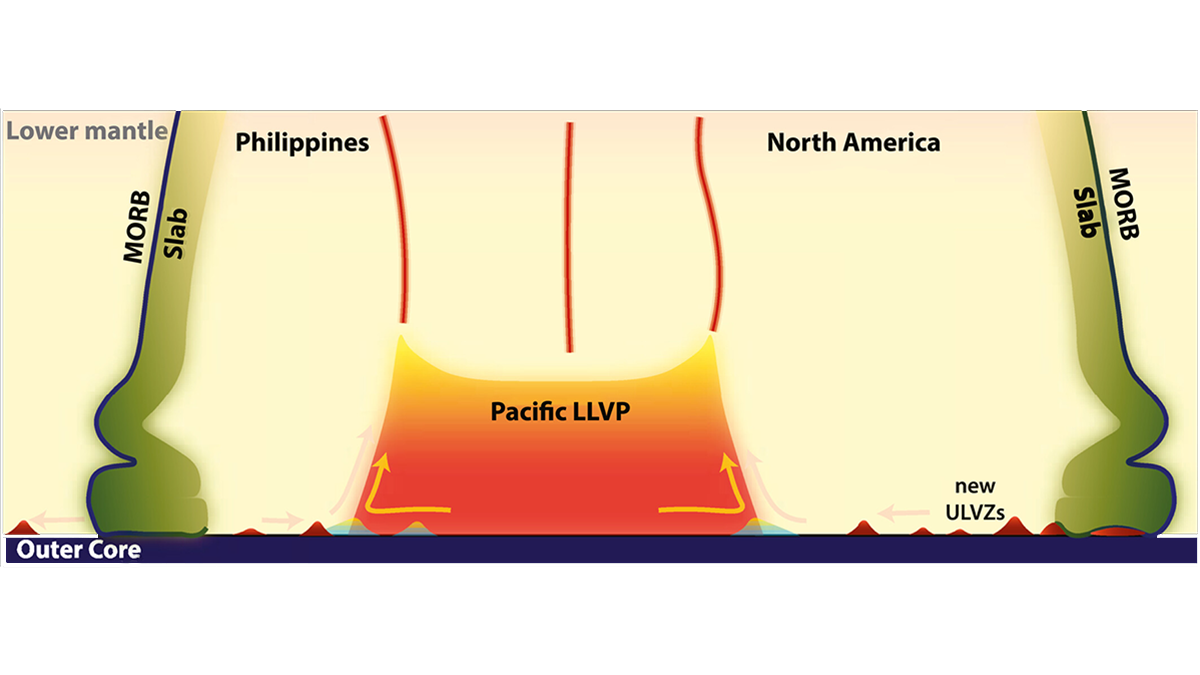 Diagram from the paper.