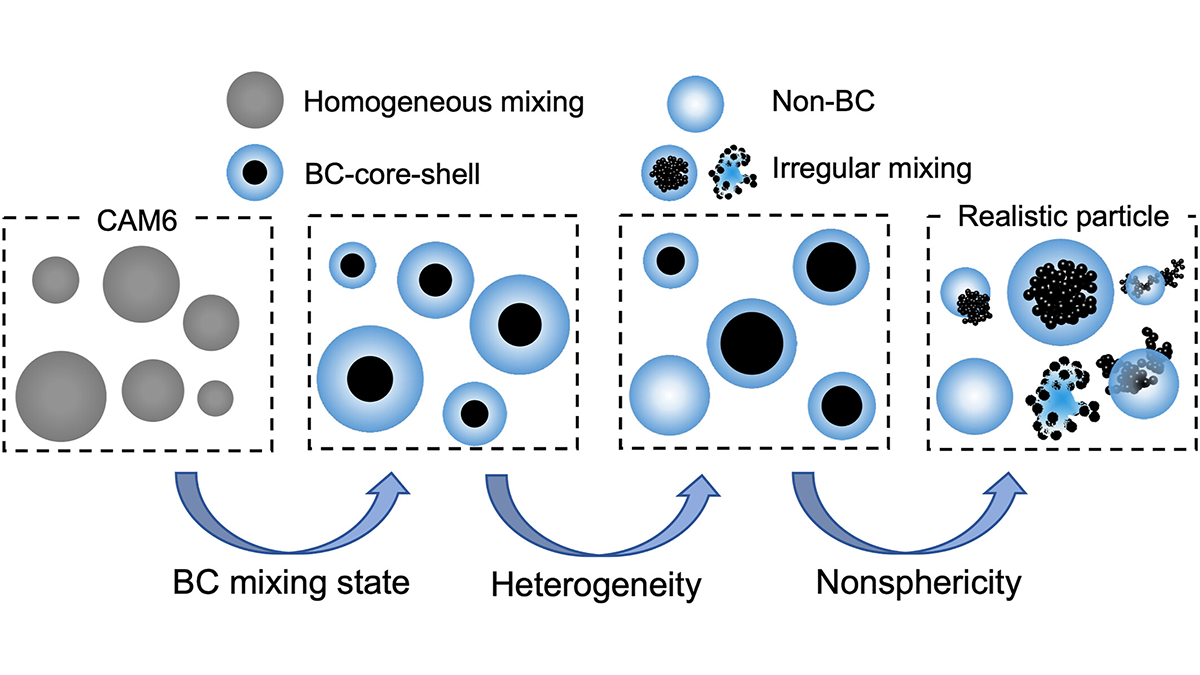 Diagram from the study.