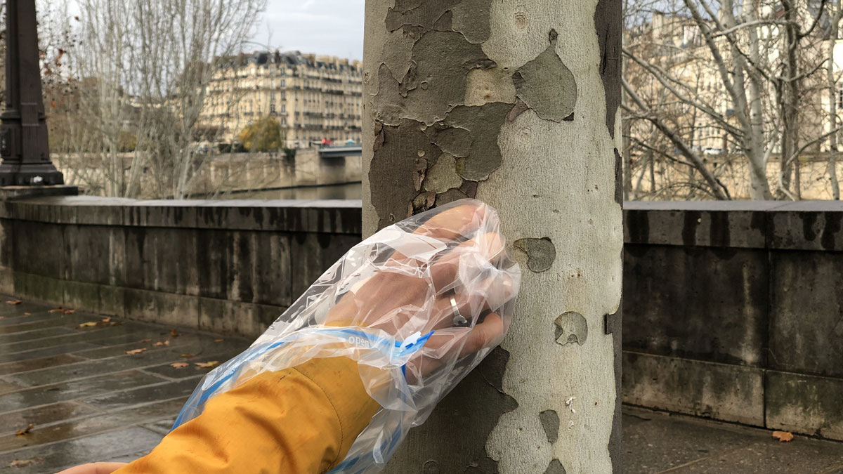 A hand inside a plastic bag pulls a small piece of bark off of a tree. The person is wearing a yellow sleeve. In the background are a river and a bridge.