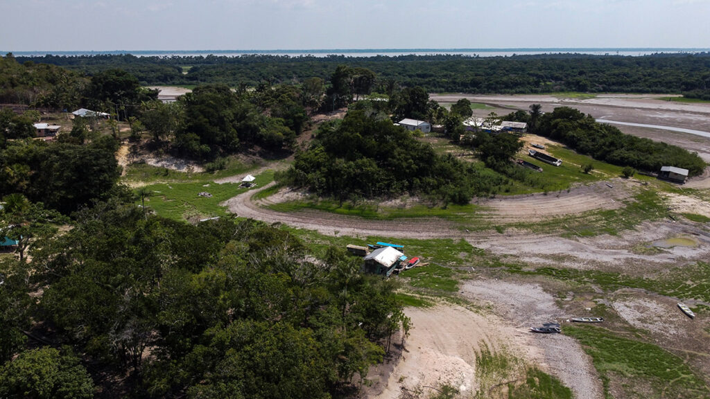 A dry forest region at the São Francisco do Mainã community near Manaus, Amazonas, Brazil