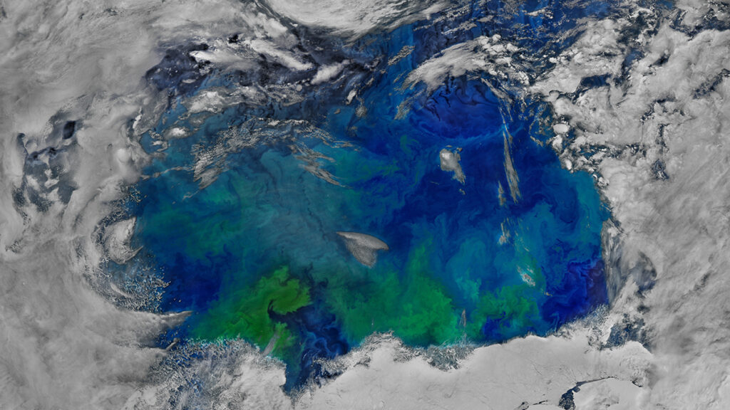 Satellite image of blue and green phytoplankton blooms in the Southern Ocea