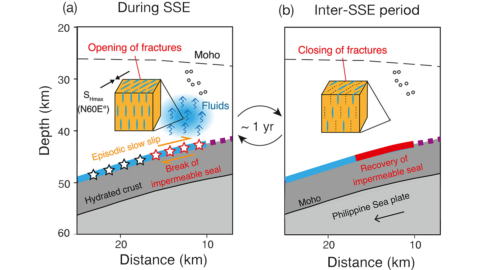 Diagram from the study.