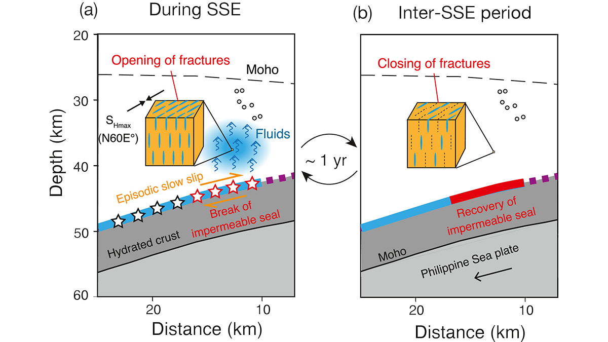 Diagram from the study.
