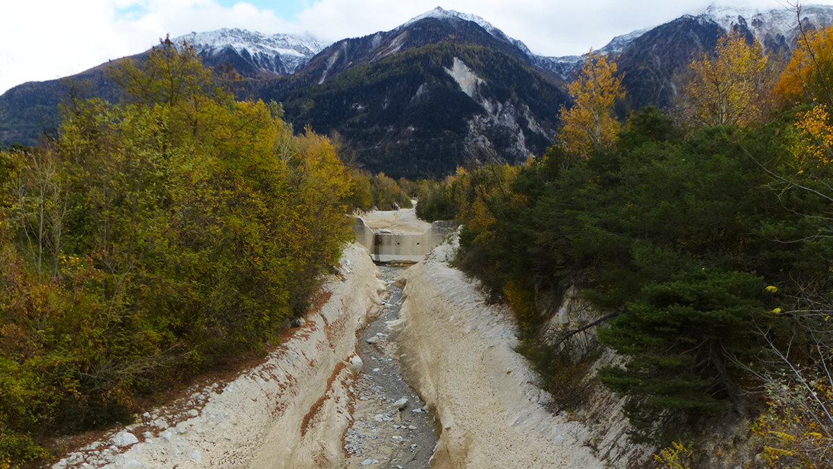 Debris flow channel lined by trees and mountains in the background.